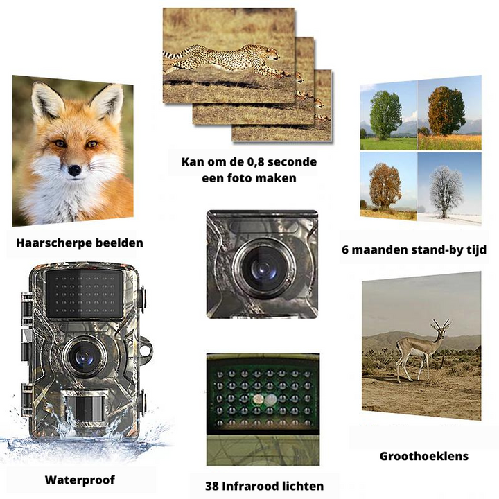 Unauffällige Outdoor Wildkamera mit 4K HD Auflösung und Nachtsicht für Tierüberwachung.