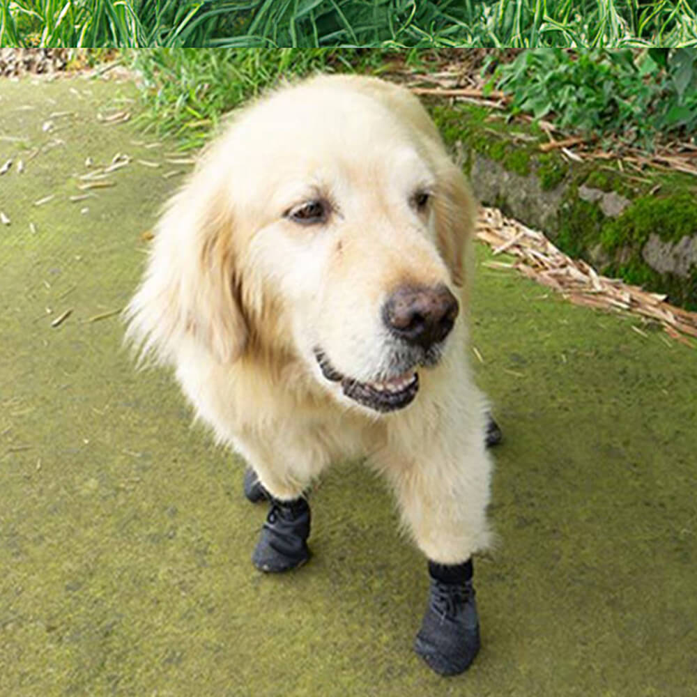 Ideal für Outdoor: Wasserdichte, atmungsaktive Hundeschuhe für Wandern, Laufen & Abenteuer. Rutschfester Pfötenschutz.