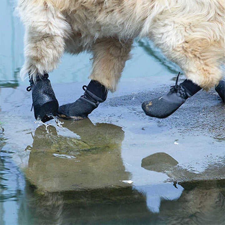 Tierschuhe für Hunde: Wasserdicht, atmungsaktiv & rutschfest. Perfekt als Pfötenschutz für Outdoor-Abenteuer & Sport.