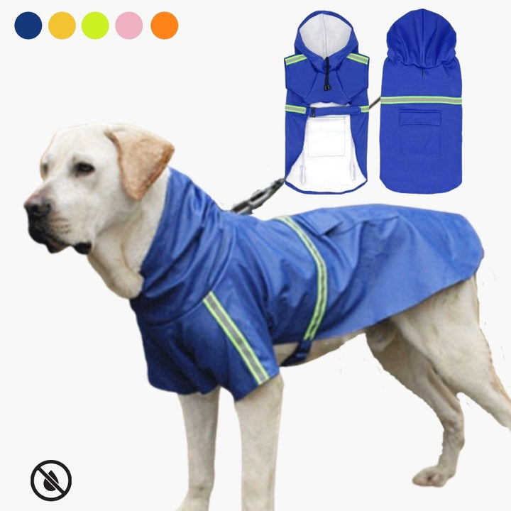 Aktiver Hund mit wasserdichter Hundejacke für Schutz vor Kälte, Wind und Regen beim Outdoor-Spiel.