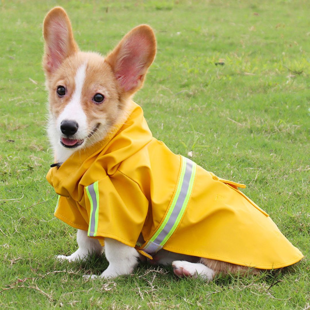 Vielseitiger Regenmantel für Hunde, schützt vor Wind, Regen & Kälte. Ideale Outdoor Hundebekleidung für alle Rassen.
