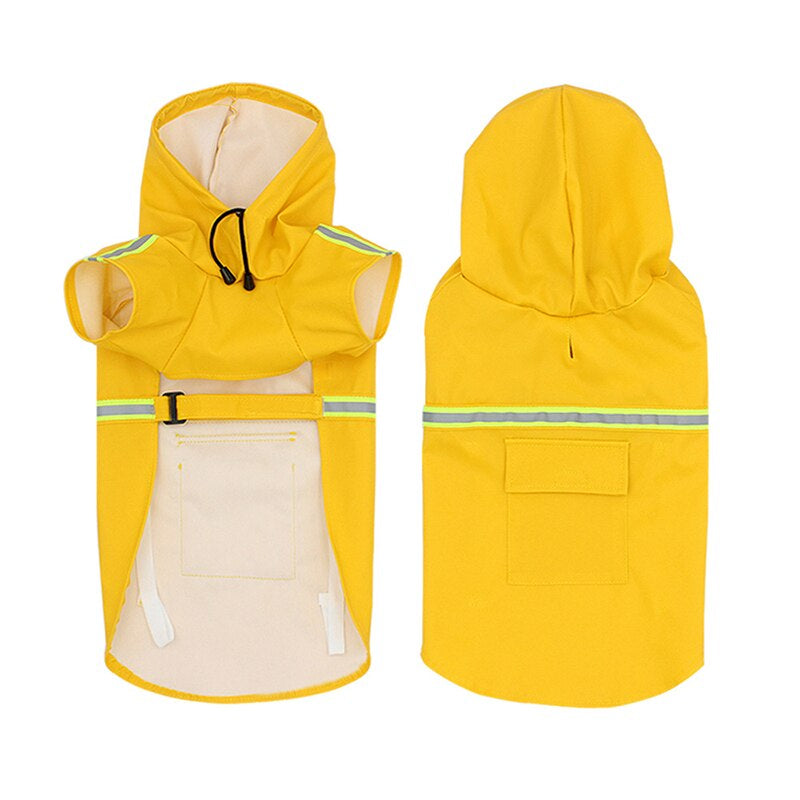 Aktiver Hund in wasserdichter "StormPaw" Hundejacke für Regenschutz & Kälteschutz. Hundebekleidung outdoor.