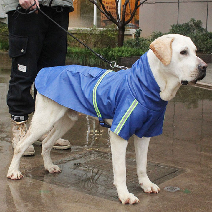 Wasserdichte Hunderegenjacke schützt Vierbeiner vor Wind & Regen. Ideal für Outdoorhunde & schlechtes Wetter.