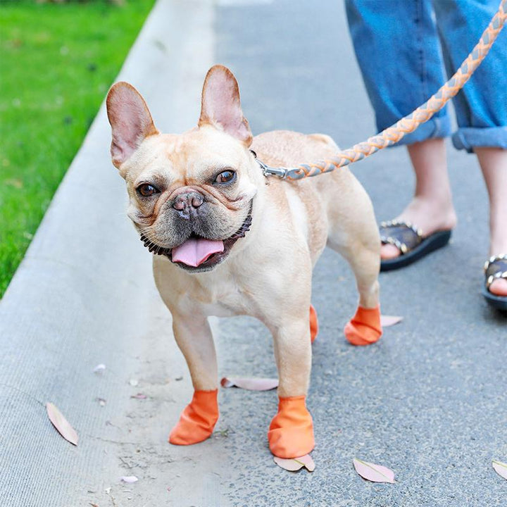 Outdoor-Hundeschuhe, wasserdicht, für sicheren Pfotenschutz bei Wanderungen, Spaziergängen und Hundesport.