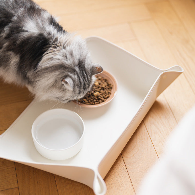 Vielseitige wasserdichte Napfunterlage für Hunde & Katzen, auslaufsicher und leicht zu reinigen.