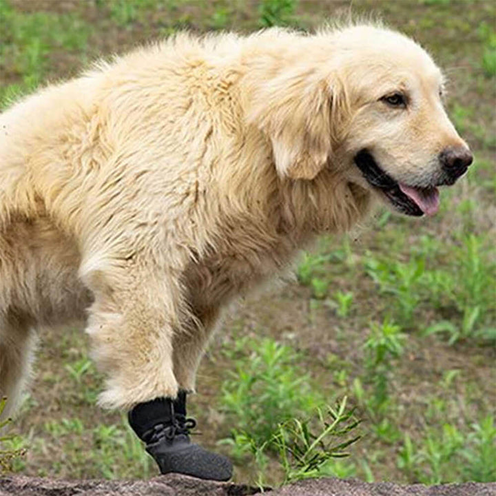 Robuste Outdoor-Hundestiefel mit wasserdichtem Pfotenschutz. Perfekt für alle Wetterlagen und Terrains.