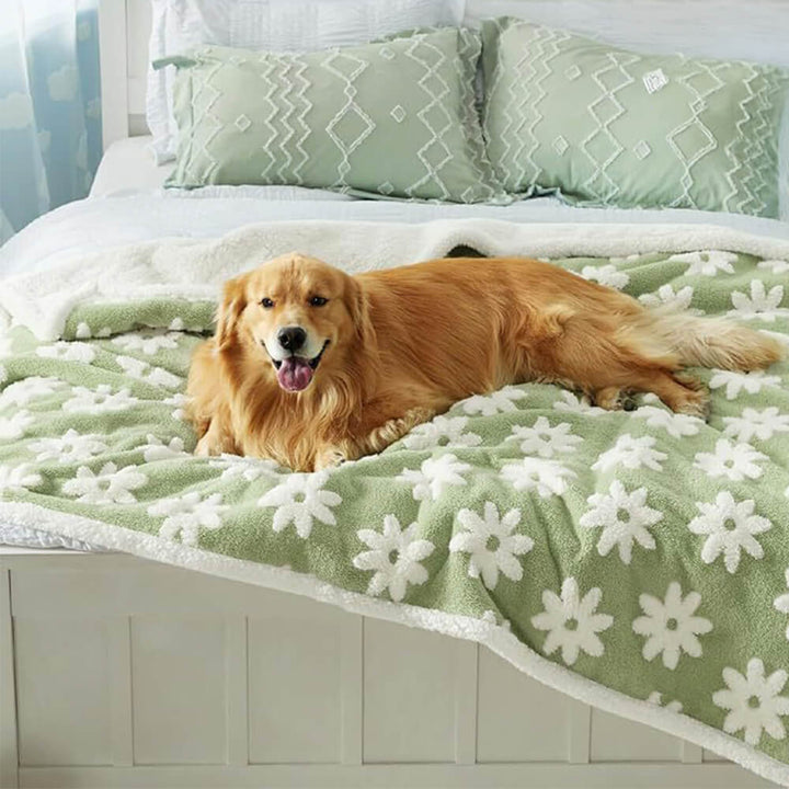 Hochwertige Hundematte, wasserdicht, Sherpa-Oberfläche, ideal als Schutzdecke für Hunde.