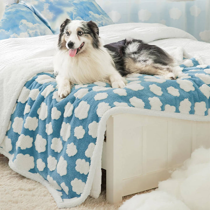 Robuste und waschbare Hundedecke mit wasserdichtem Schutz und flauschigem Sherpa-Fleece.
