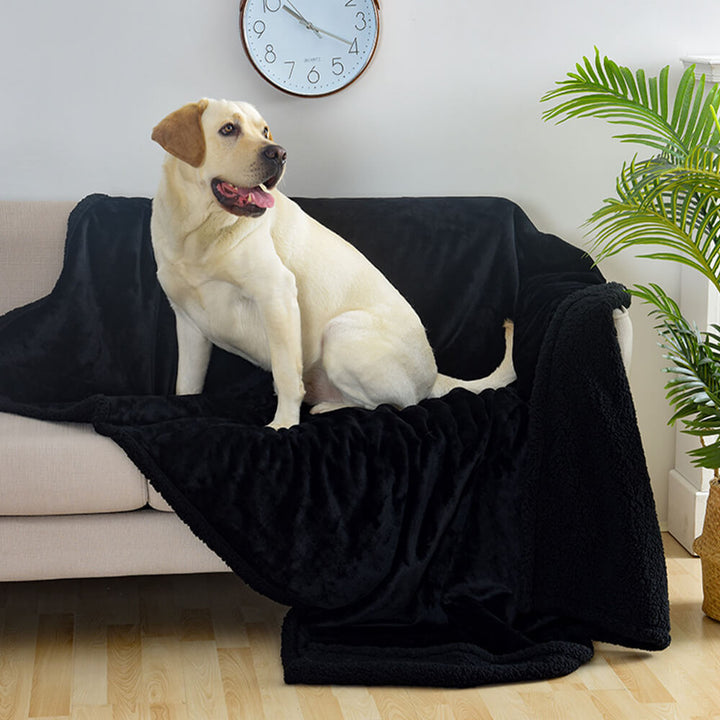 Praktisches Hundezubehör: waschbare, gemütliche & wasserdichte Sherpa-Fleece Decke.