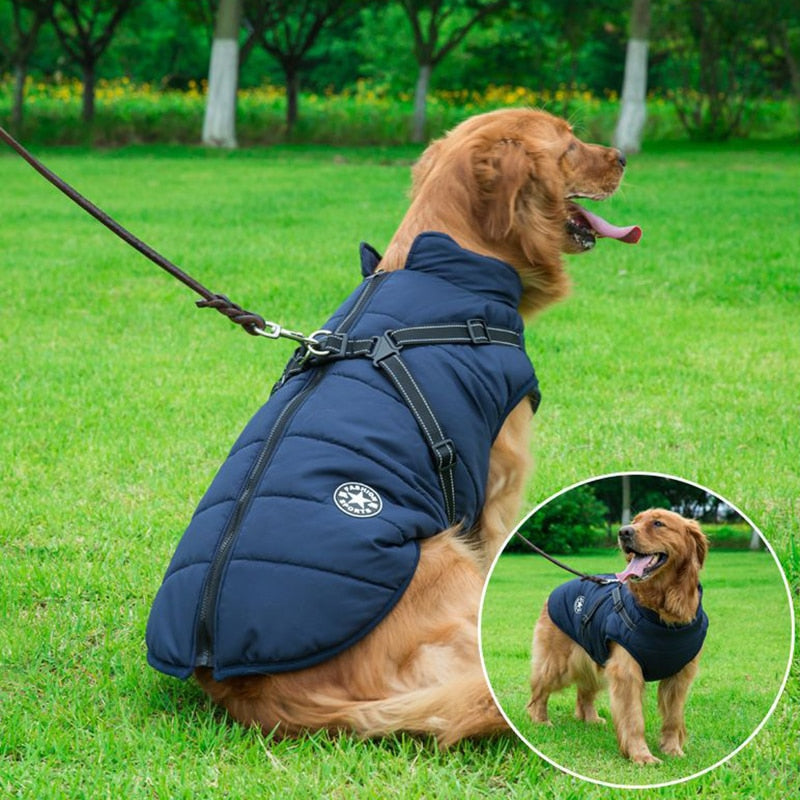Wasserdichte warme Winterjacke für Hunde, idealer Kälteschutz bei Spaziergängen.