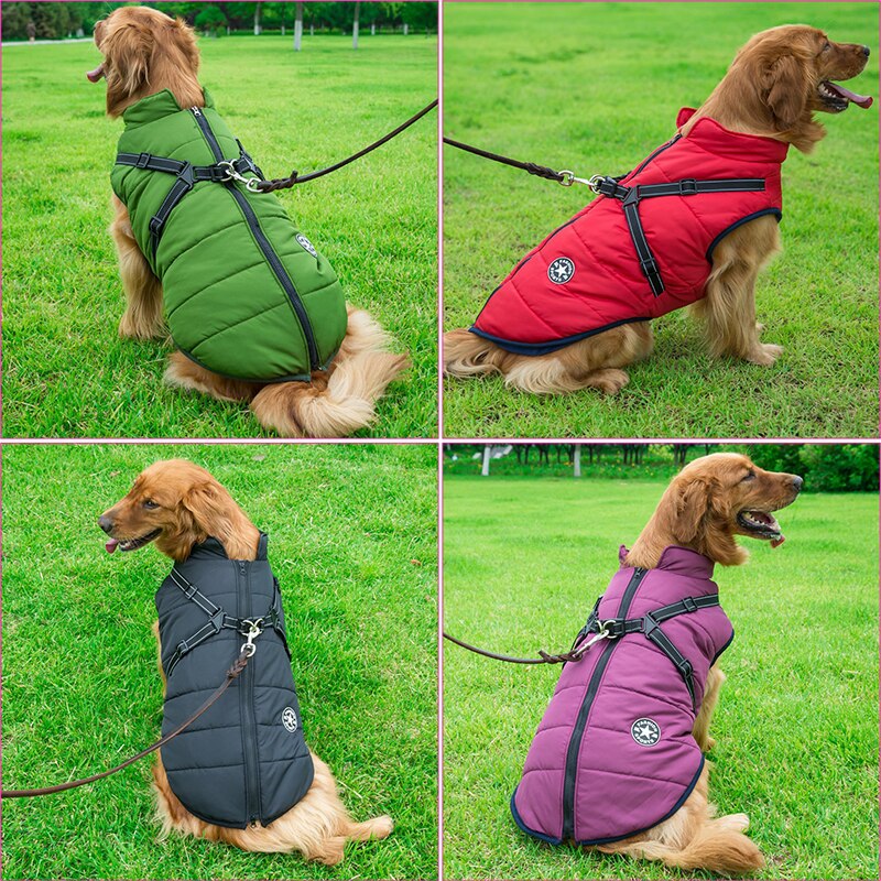 Hochwertige Hundebekleidung: wasserdichte Winterjacke, optimaler Nässeschutz für Hunde.
