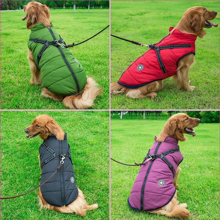 Hochwertige Hundebekleidung: wasserdichte Winterjacke, optimaler Nässeschutz für Hunde.