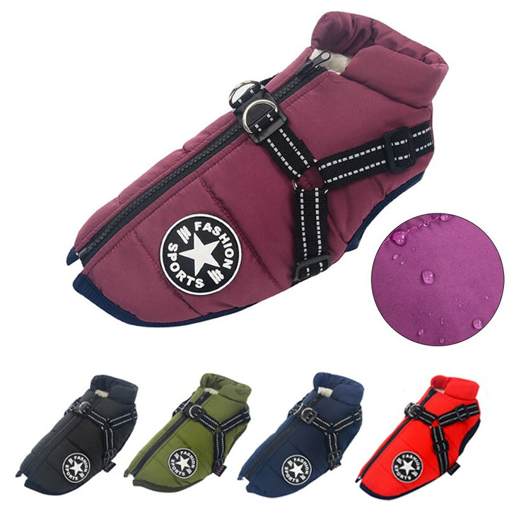 Elegante wasserdichte Hundejacke für den Winter, hält Ihren Hund trocken und warm.