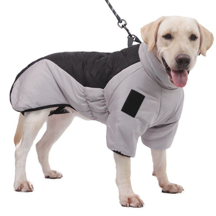 WeatherPaws Hundebekleidung: wasserdichter Schutzmantel für aktive Hunde, ideal für Outdoor-Aktivitäten und Regen.