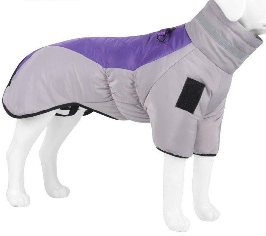 Strapazierfähige Hundejacke, wasserdicht & wärmend, für großen Hund; bietet Schutz und Stil bei schlechtem Wetter.