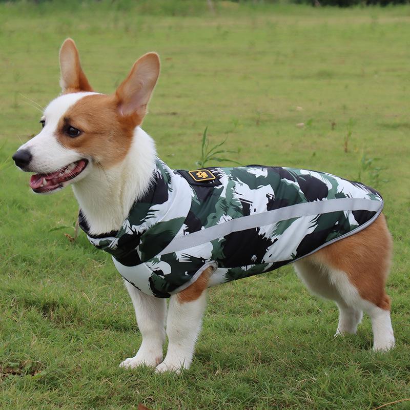 Wasserdichte Winterjacke StormGuard für Hunde, optimaler Kälteschutz bei Spaziergängen.