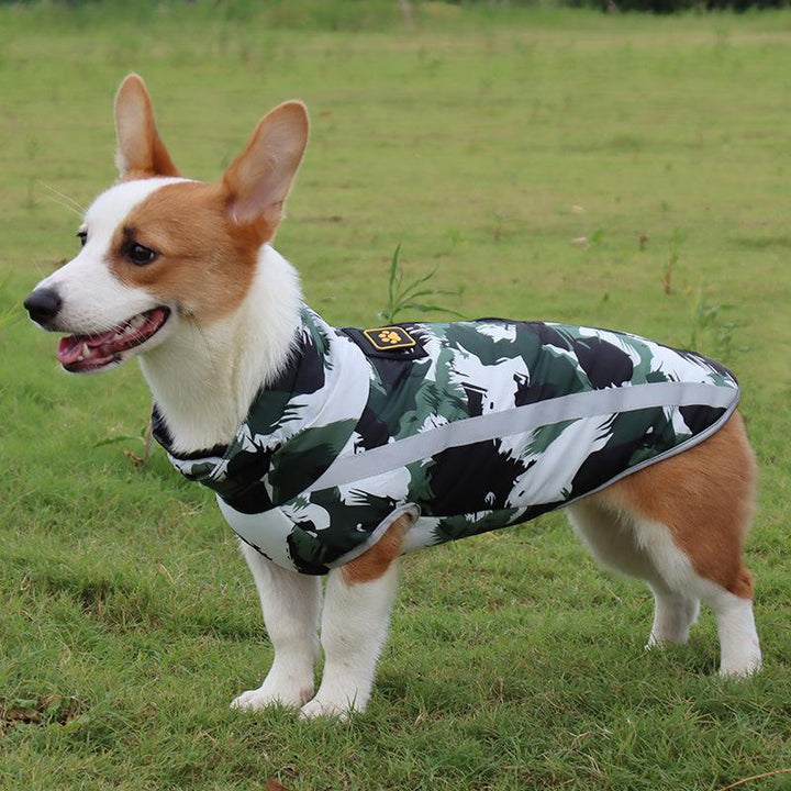 Wasserdichte Winterjacke StormGuard für Hunde, optimaler Kälteschutz bei Spaziergängen.