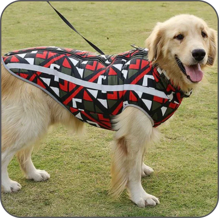 Hochwertige StormGuard Winterjacke für Hunde, schützt zuverlässig vor Nässe und winterlicher Kälte.
