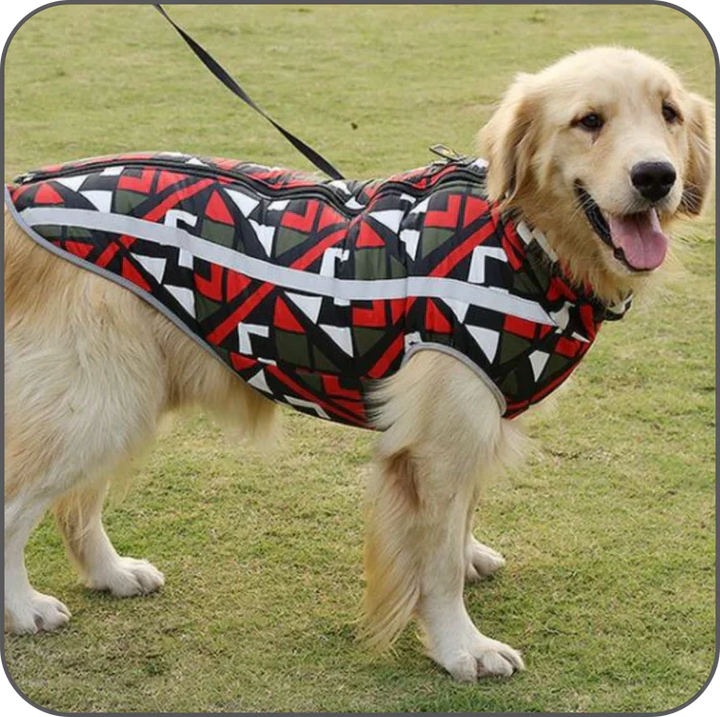 Hochwertige StormGuard Winterjacke für Hunde, schützt zuverlässig vor Nässe und winterlicher Kälte.