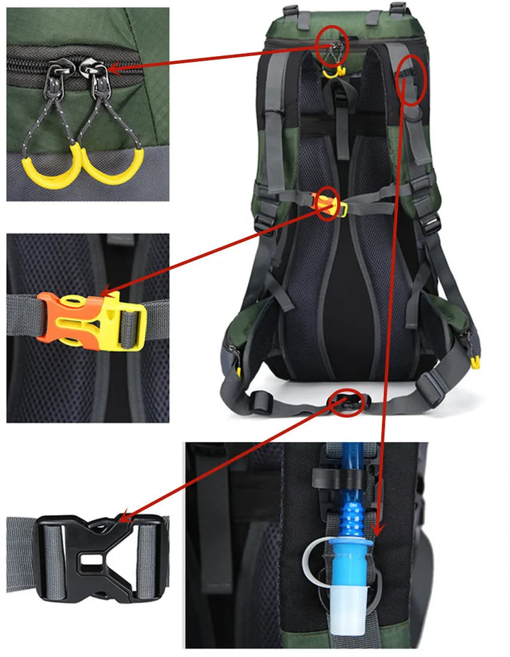 Ergonomisches Tragesystem des 60L "AdventurePro" Rucksacks, perfekt für Komfort bei Wanderungen.