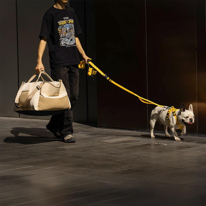 Reise mit Hund leicht gemacht: wasserdichter & atmungsaktiver Hundeautositz.