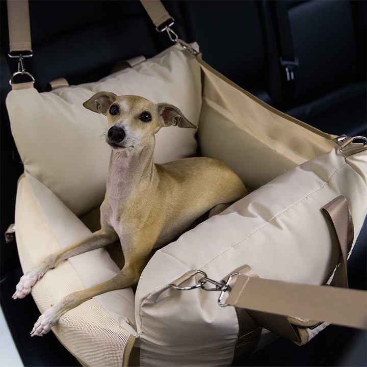 Reisesitz Hund: sicher, weich gepolstert, wasserdicht & atmungsaktiv für entspannte Fahrten.