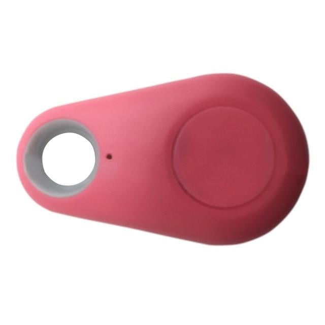 GPS-Tracker sicher am Halsband eines Haustiers befestigt; wasserdichtes Design; Echtzeit-Ortung für Hunde & Katzen.