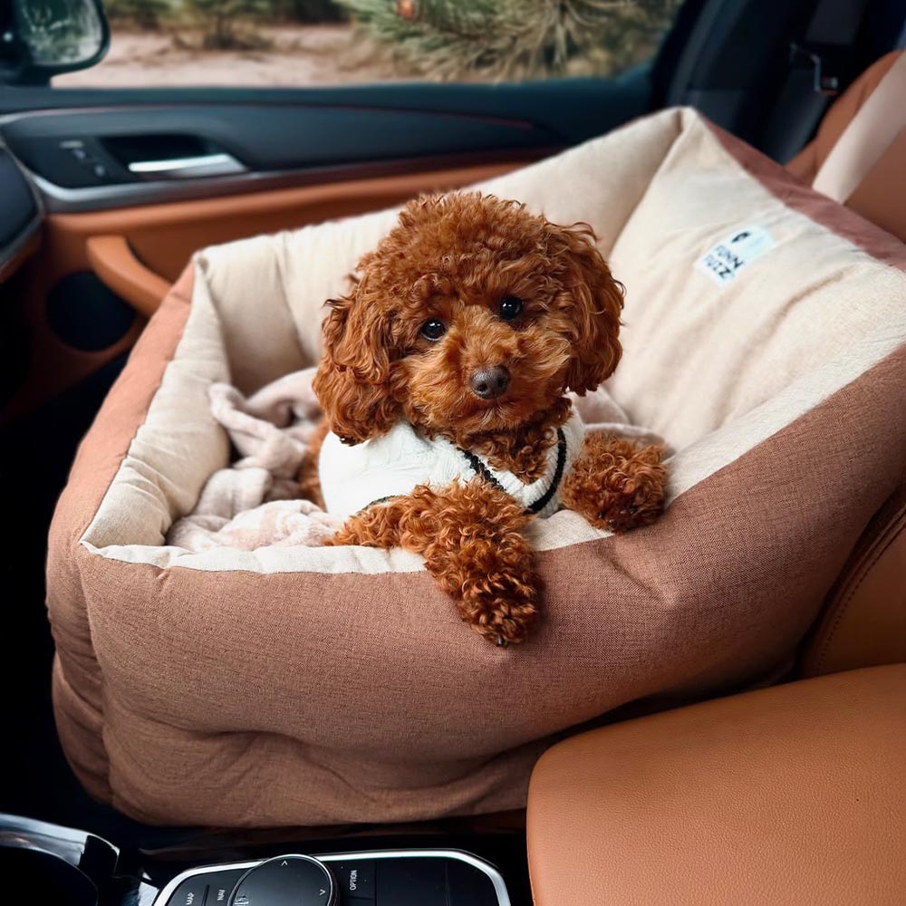 Praktischer, wasserdichter Hundeautositz; ein gemütlicher Einzelsitz für sichere Autofahrten mit dem Hund.