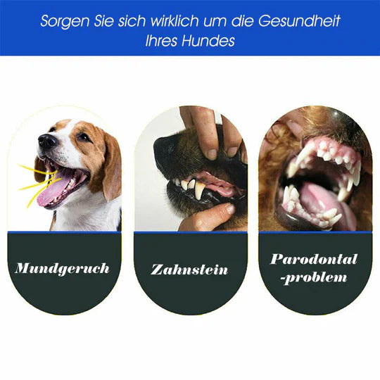 Wichtiger Haustierbedarf: Die 3-Kopf Hundezahnbürste für umfassende Zahnpflege & Mundhygiene.