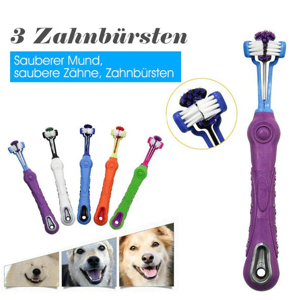 Eine 3-Kopf Hundezahnbürste als Schlüssel zur optimalen Zahnpflege und Mundhygiene für Ihren Hund.