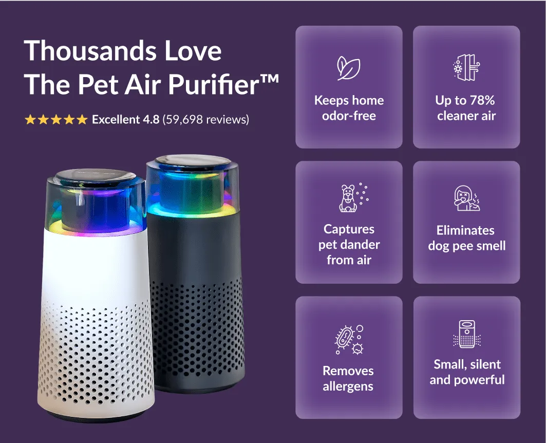 Moderner PetFresh Luftbefeuchter, schwarz, neutralisiert Tiergerüche und befeuchtet die Raumluft.