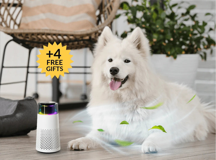 Der PetFresh Luftbefeuchter, weiß, bekämpft hartnäckige Tiergerüche & sorgt für angenehmes Raumklima.