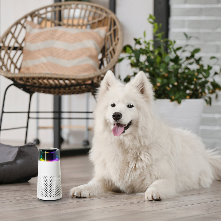 Stylischer PetFresh Geruchs-Luftbefeuchter in Weiß, ideal für Tierbesitzer und frische Luft.