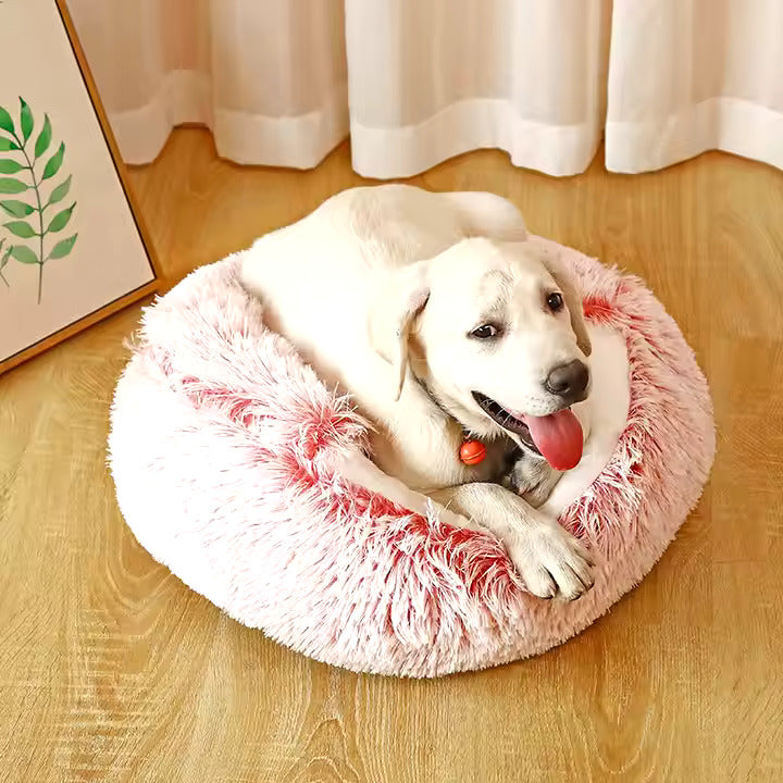 Weiche 2-in-1 Hunde Kuschelhöhle in Grau, ideal als warmes Plüschbett oder offenes Hundebett für Geborgenheit.
