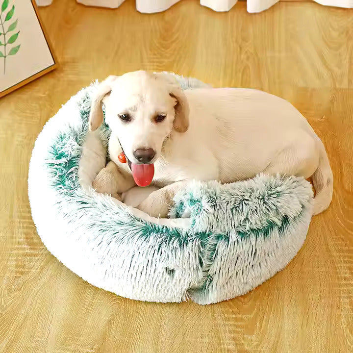 Gemütliches, waschbares Hunde Plüschbett. Die 2-in-1 Kuschelhöhle bietet einen warmen Rückzugsort für Haustiere.