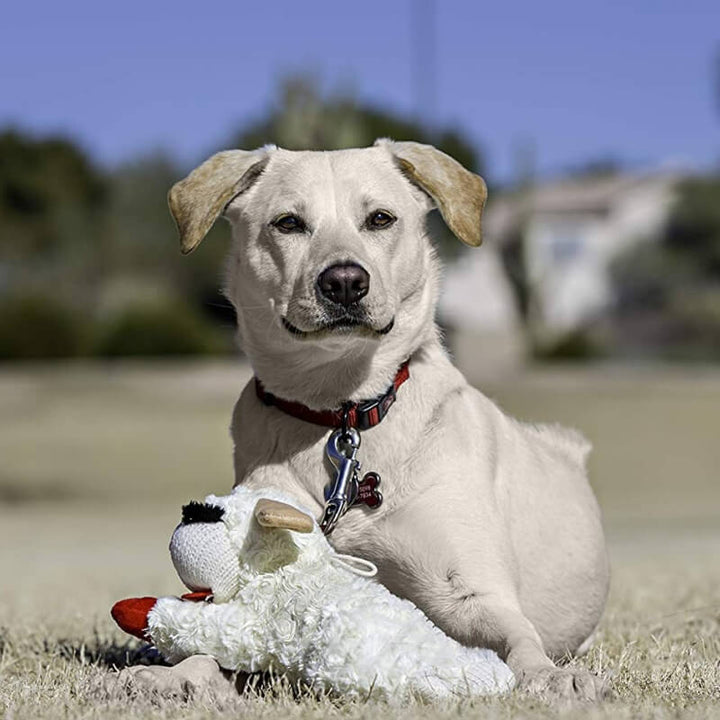 Liebevoll gestaltetes Plüsch-Lamm Hundespielzeug in Weiß mit Details. Kuschelig und robust für Welpen.