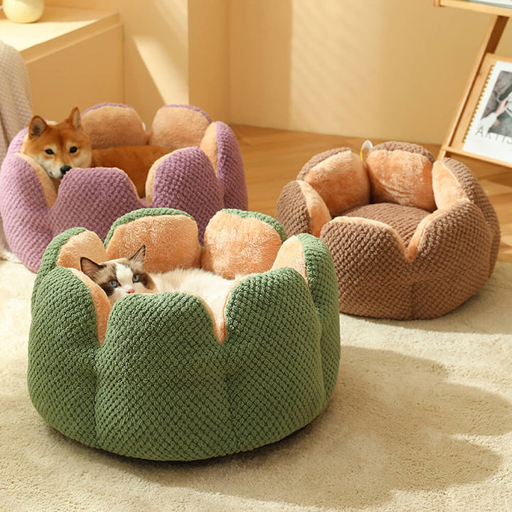 Weiches Kaktus Haustierbett für Katzen und kleine Hunde, gemütlicher Schlafplatz im modernen Design.
