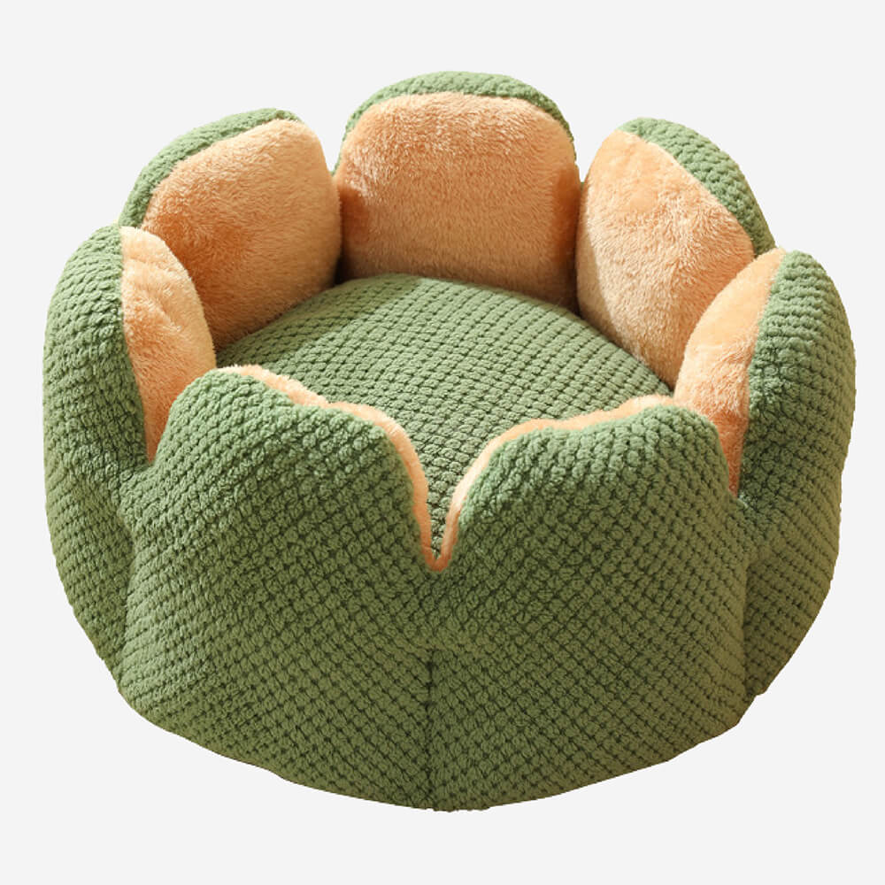 Kaktus Katzenbett für erholsamen Schlaf, weicher Kuschelplatz auch für kleine Hunde, modernes Haustiermöbel.