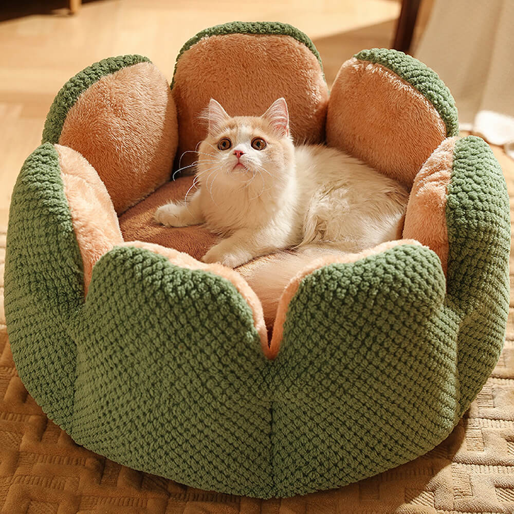 Gemütliches Katzenbett in Kaktusform, idealer Kuschelplatz für erholsamen Schlaf kleiner Haustiere.