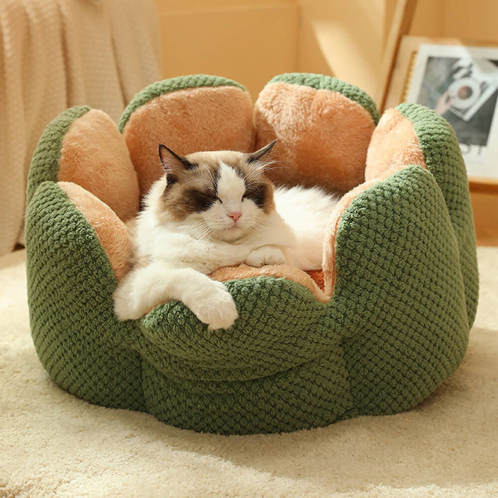 Katze kuschelt im weichen Kaktus Katzenbett, bequemer Schlafplatz im modernen Haustierdesign.