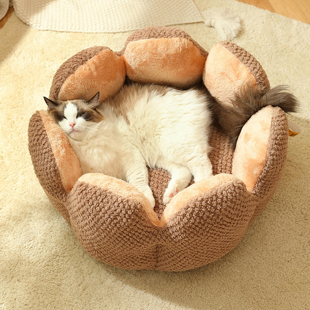 Stylisches Kaktus Haustierbett, ein gemütlicher Kuschelplatz & modernes Accessoire für Ihr Zuhause.
