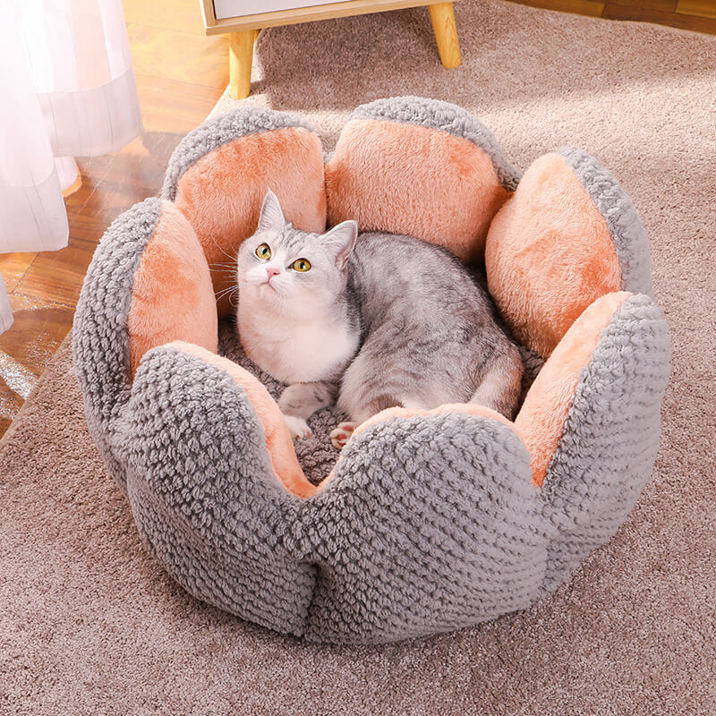 Hochwertiges Kaktus Haustierbett, weich gepolstert für Katzen & kleine Hunde, perfekter Schlafplatz.