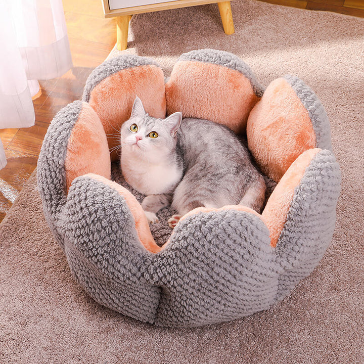Hochwertiges Kaktus Haustierbett, weich gepolstert für Katzen & kleine Hunde, perfekter Schlafplatz.