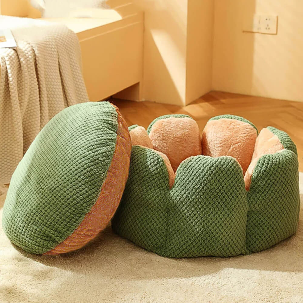 Haustierbett in Kaktusform, weicher Kuschelplatz für Katzen und kleine Hunde, modernes Design.