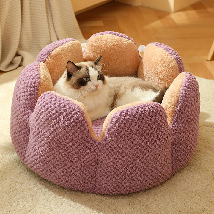 Warmes und gemütliches Kaktus-Hundebett für kleine Rassen, weicher Schlafplatz für Tierwohl.