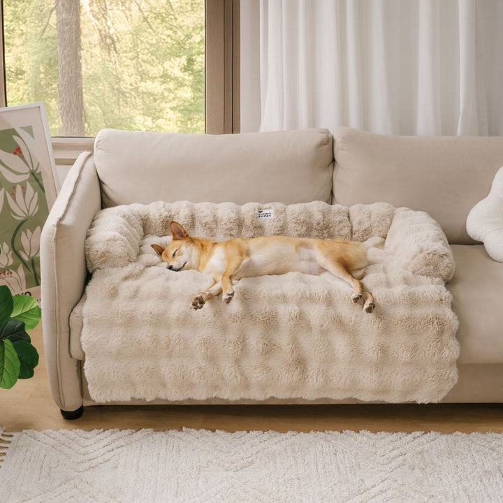 Warmes Winter-Hundebett für gemütliche Stunden, bietet Ihrem Vierbeiner maximalen Komfort und Schutz vor Kälte.