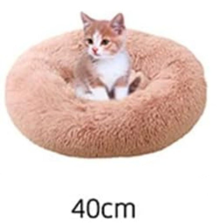 Das ultimative Kuschelbett: Wolken Katzenbett, extra weich für Ihre geliebte Katze.