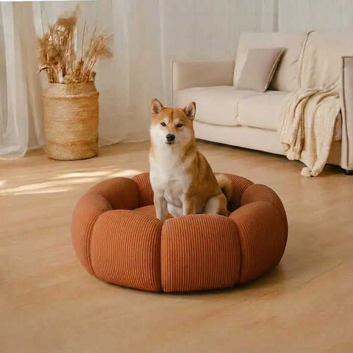 Waschbares Hundebett, rund und weich, mit hohem Rand für Geborgenheit und Komfort.