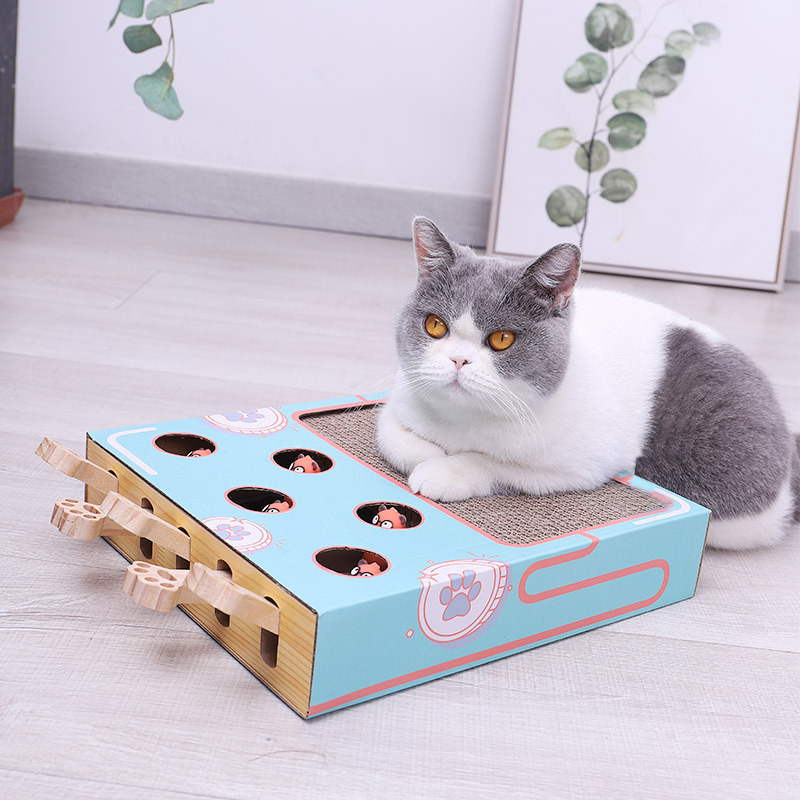 WhiskerPlay 3-in-1 interaktives Katzenspielzeug mit Kratzbaum & Bällen. Spielplatz für aktive Katzen.