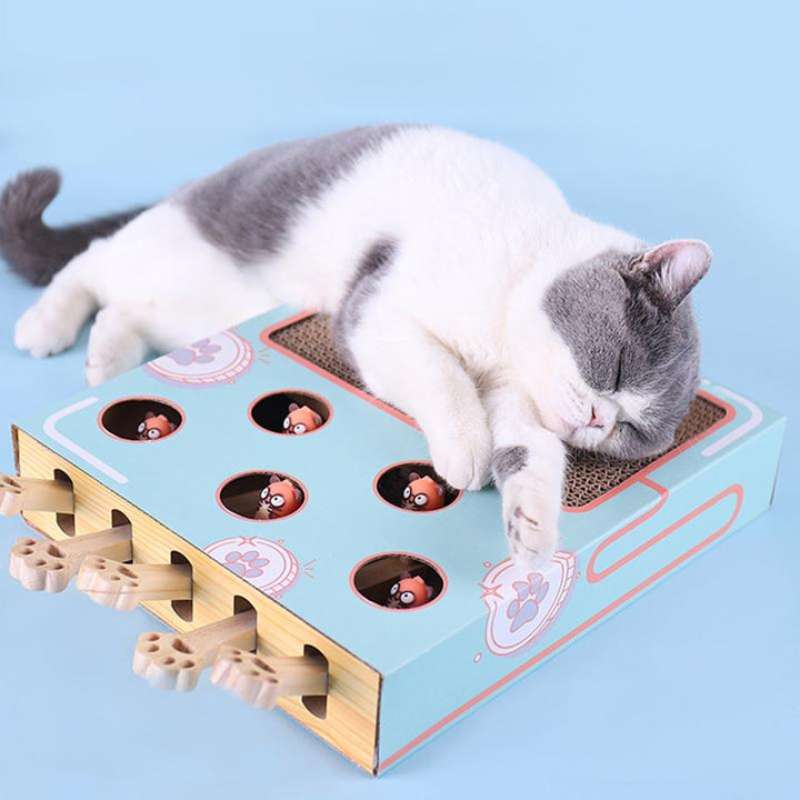 Umweltfreundliches WhiskerPlay 3-in-1 Katzenspielzeug mit Kratzbaum. Fördert Spiel & Jagdtrieb der Katze.